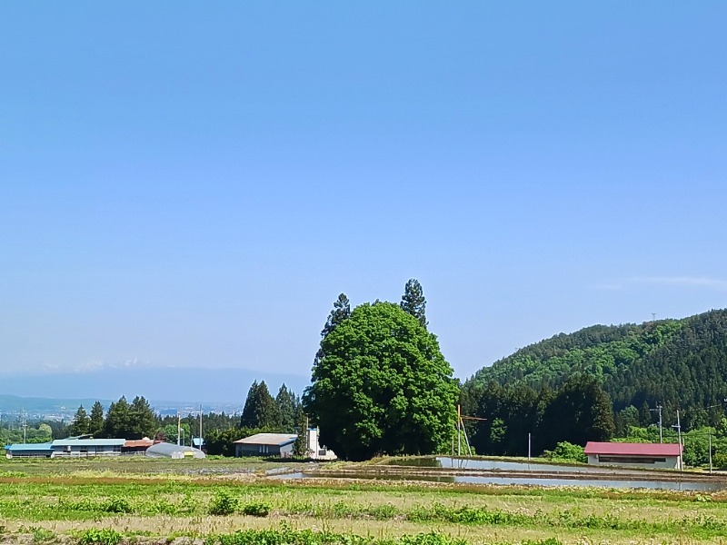 aavenueさんのSPA ゆーぱる(タスパークホテル長井)のサ活写真