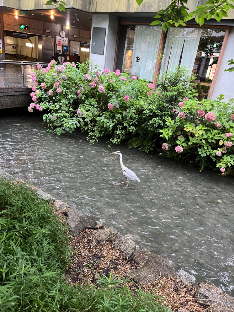 あさちゃんさんのサウナ&カプセルホテル ルーマプラザのサ活写真