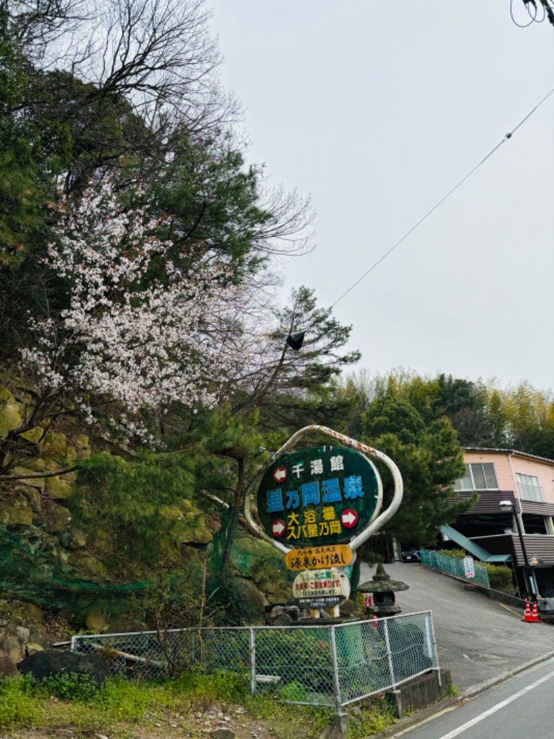 藤井　凪さんの星乃岡温泉千湯館のサ活写真