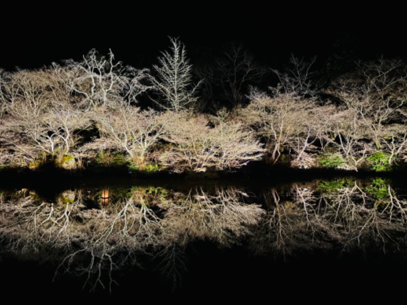 藤井　凪さんの御船山楽園ホテル  らかんの湯のサ活写真