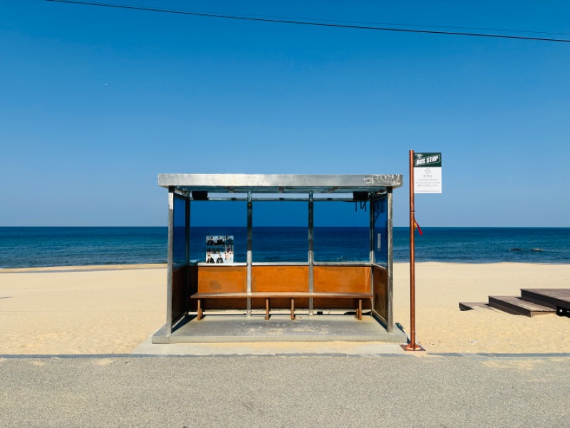 藤井　凪さんのシンヨンサウナのサ活写真