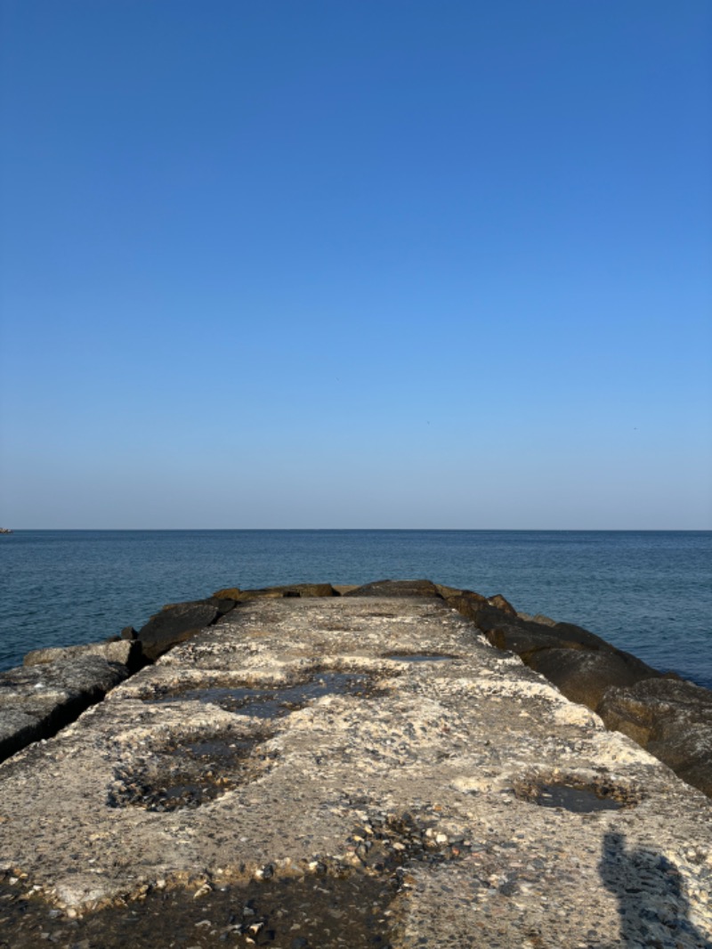 藤井　凪さんのシンヨンサウナのサ活写真