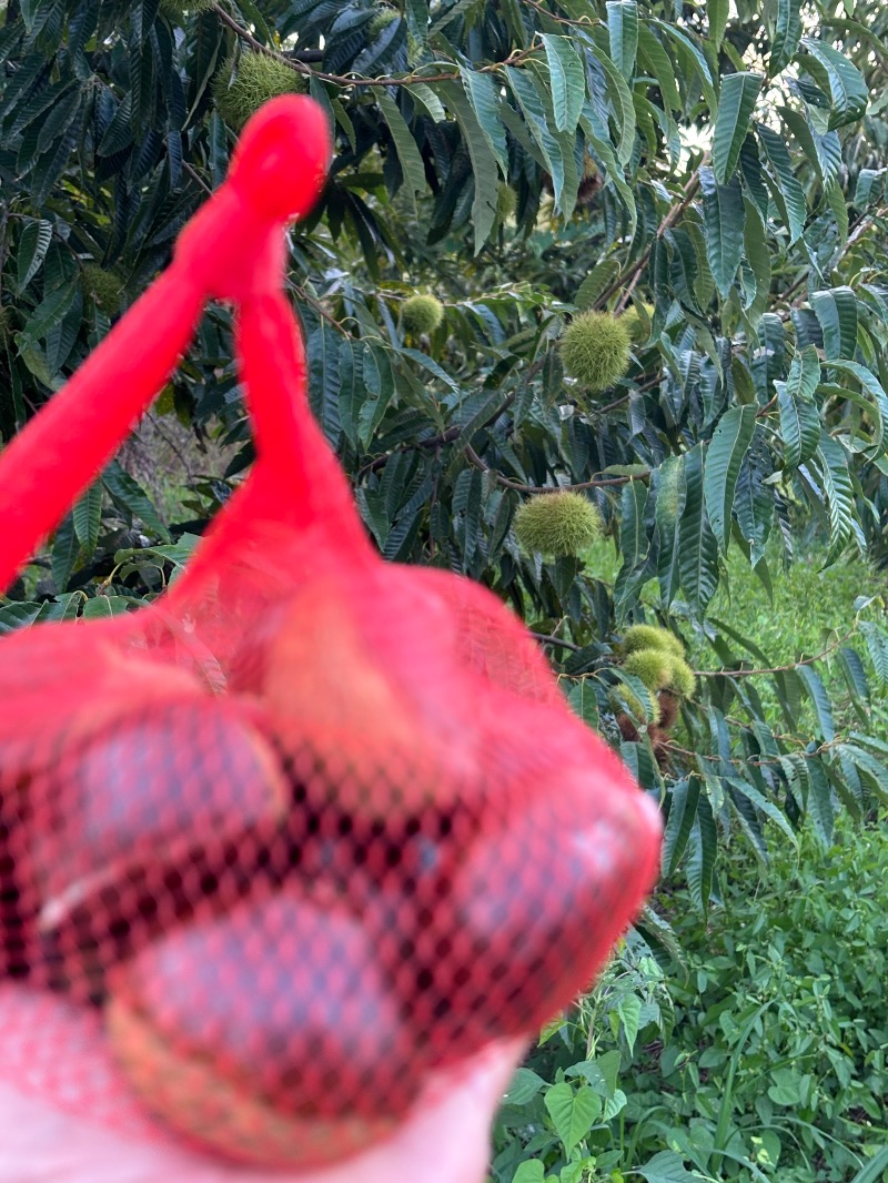 タカこやまさんのサウナ蓑蒸のサ活写真