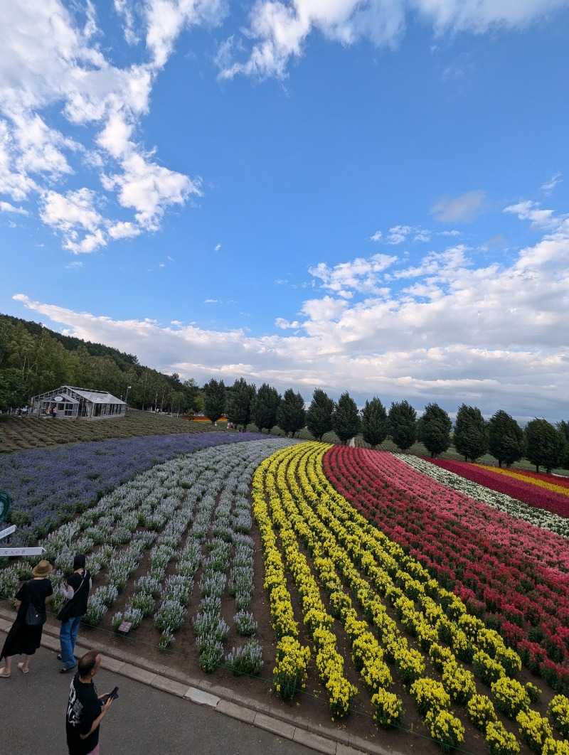 ごとうのおっさんさんのニコーリフレ SAPPOROのサ活写真