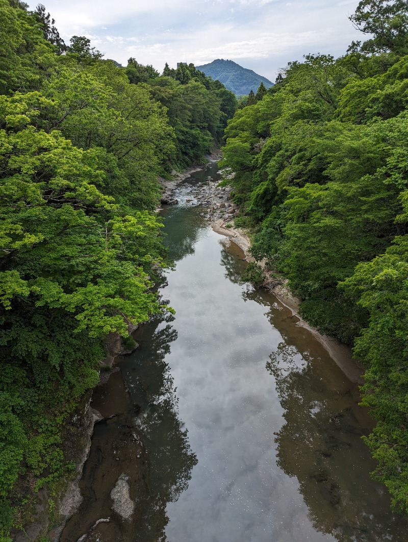 ごとうのおっさんさんの仙台秋保温泉 ホテル瑞鳳のサ活写真