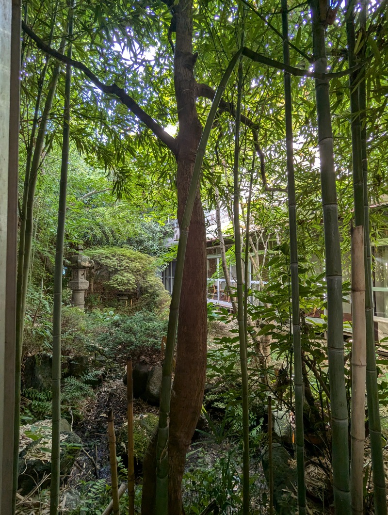 ごとうのおっさんさんの花ももの湯のサ活写真