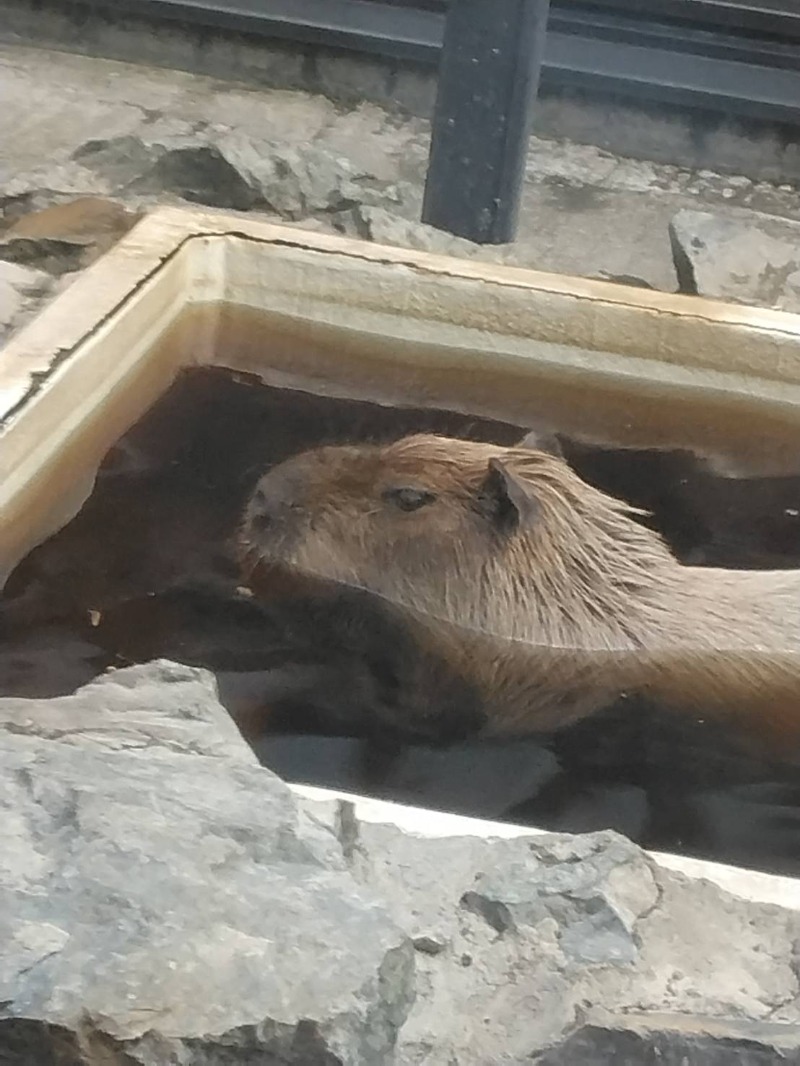 ピエさんの石狩天然温泉 番屋の湯のサ活写真