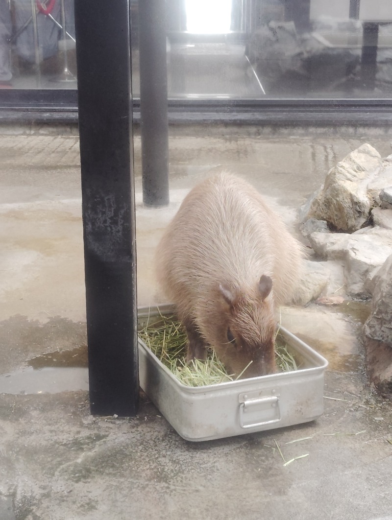ピエさんの石狩天然温泉 番屋の湯のサ活写真