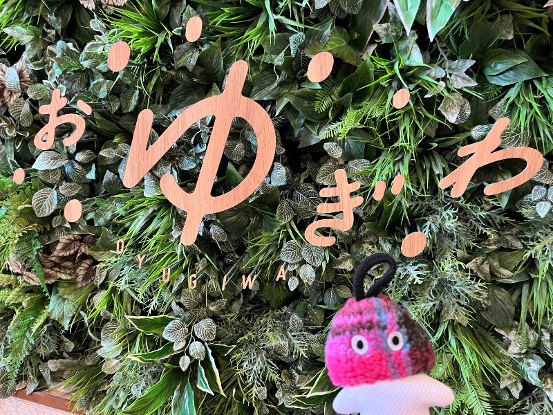 仮面サウナーさんのOYUGIWA浜松市野のサ活写真