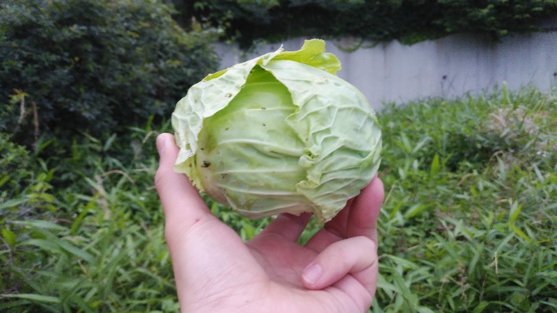 юяyslさんの野天湯元 湯快爽快 ざまのサ活写真