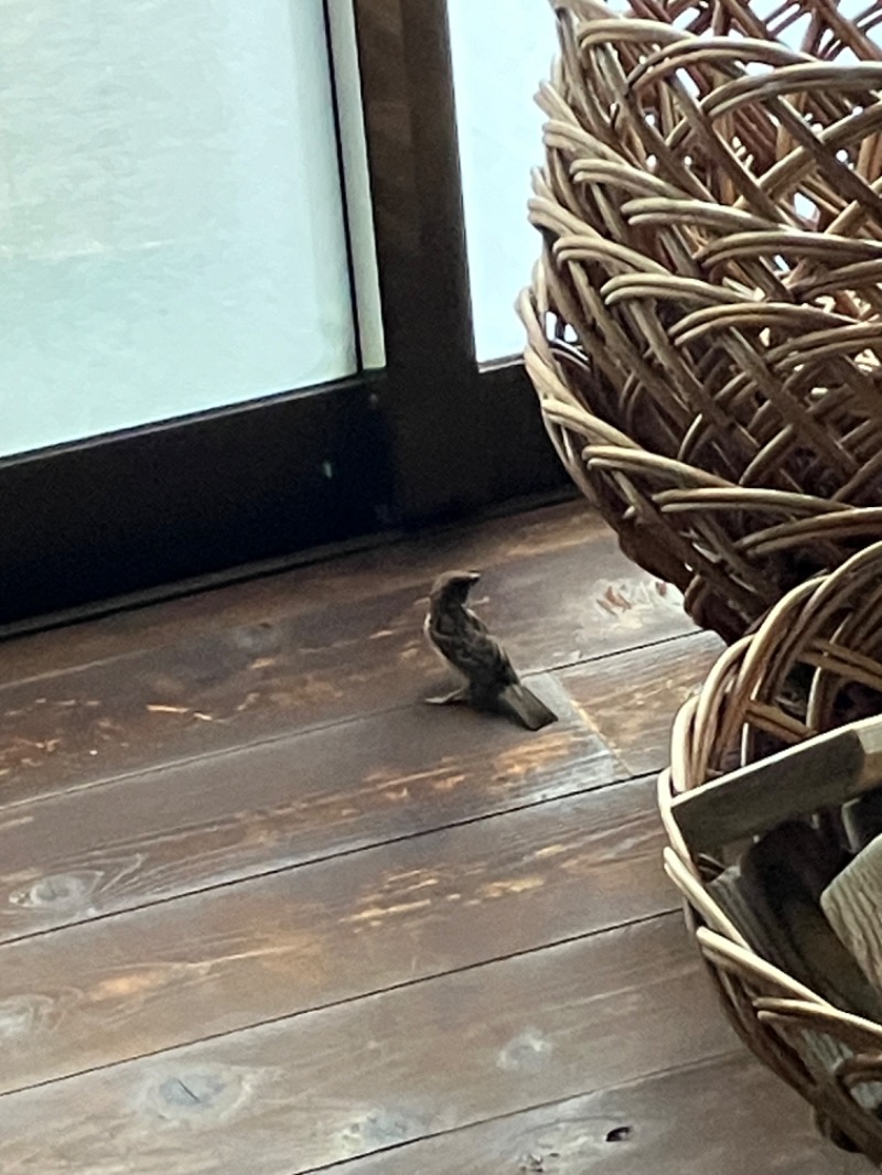 ささ湯さんの田辺温熱保養所のサ活写真