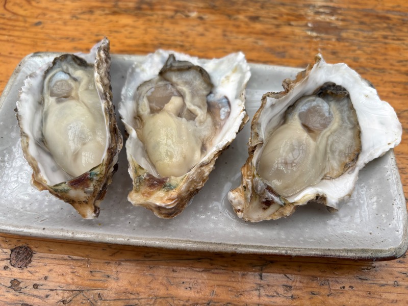 ランボ🈂️ウナーさんのエクシブ鳥羽のサ活写真