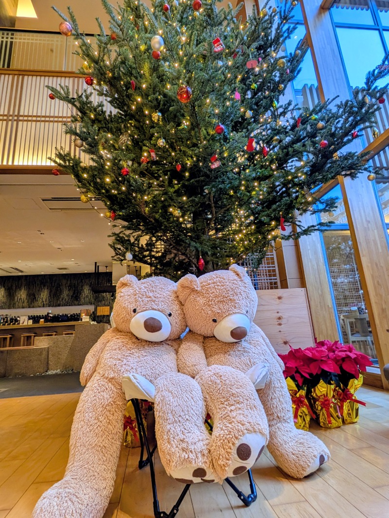 しぶがやさんの綱島源泉 湯けむりの庄のサ活写真