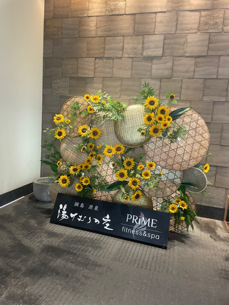 えりりんさんの綱島源泉 湯けむりの庄のサ活写真