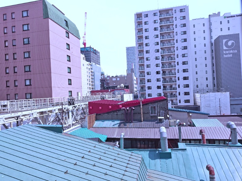 ヘビーサウナーさんの狸の湯 ドーミーイン札幌ANNEXのサ活写真