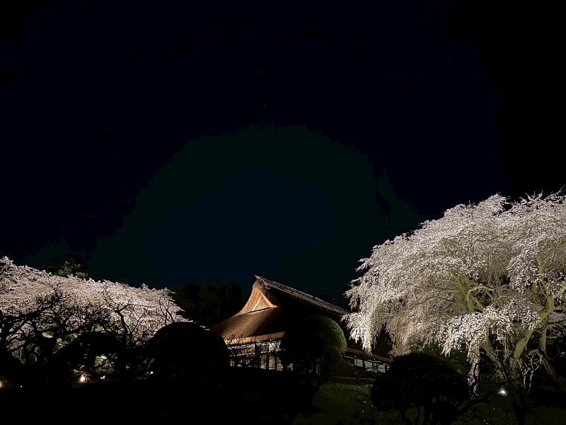 ＡＫＰさんのととのいの郷 秦野湯花楽のサ活写真