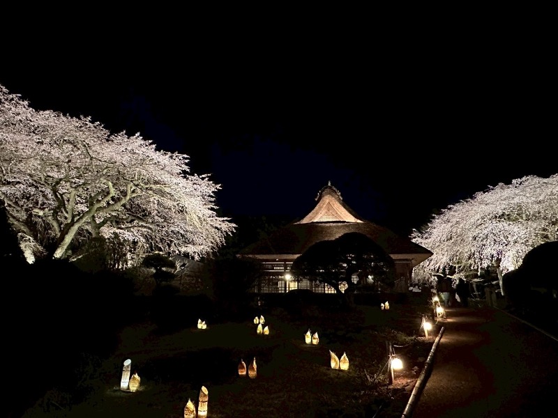 ＡＫＰさんのととのいの郷 秦野湯花楽のサ活写真