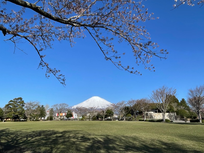 ＡＫＰさんの富士山天然水SPA サウナ鷹の湯のサ活写真