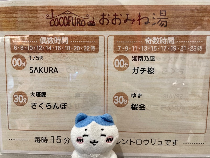 ＡＫＰさんのCOCOFURO おおみね湯のサ活写真