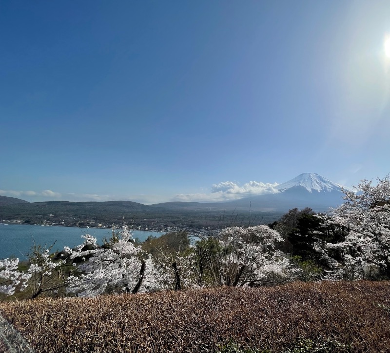 ＡＫＰさんのホテルマウント富士のサ活写真