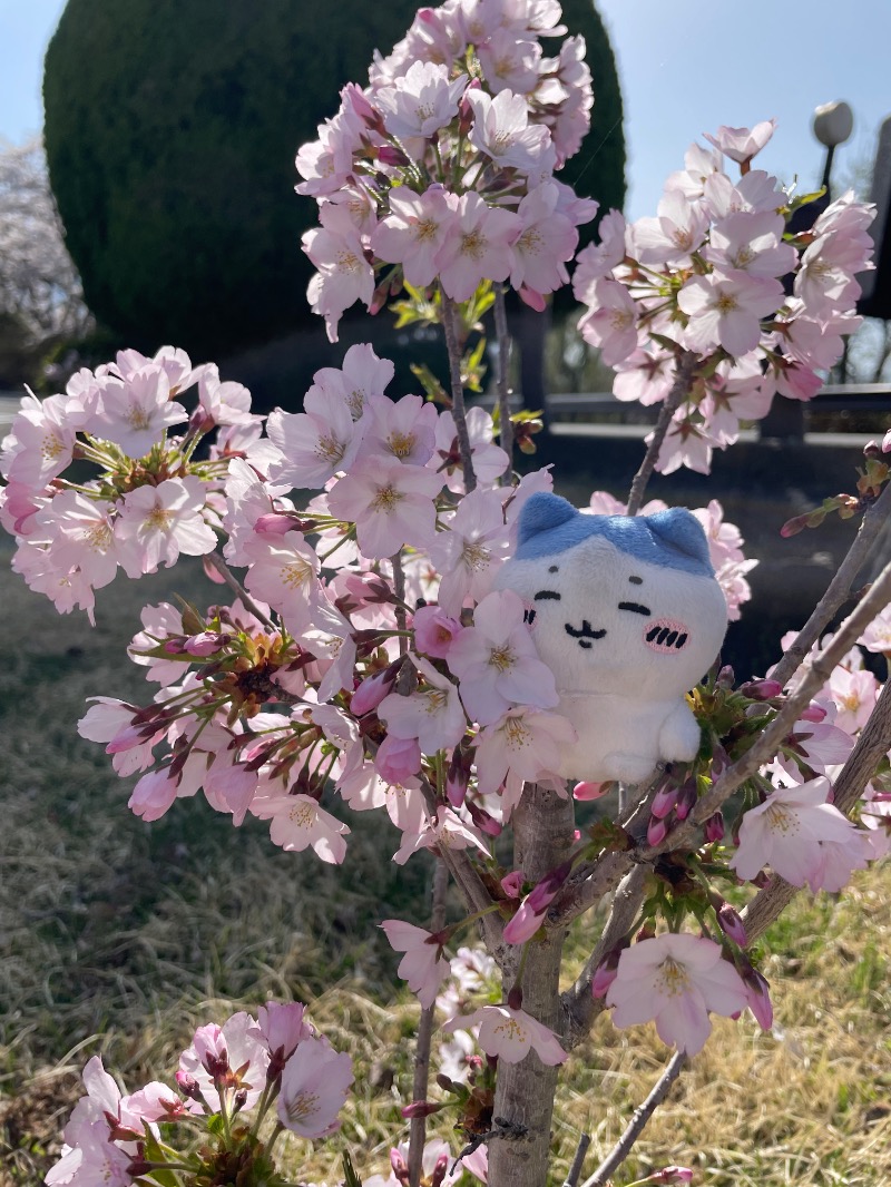 ＡＫＰさんのホテルマウント富士のサ活写真