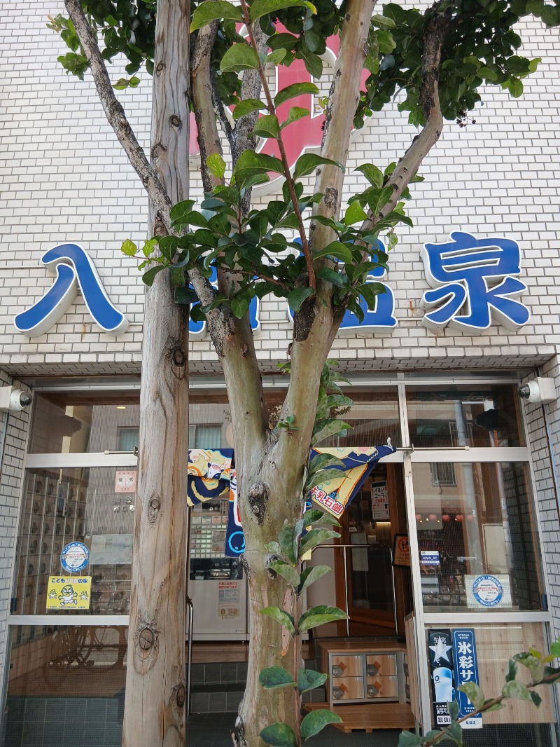 アウフさんの入船温泉のサ活写真