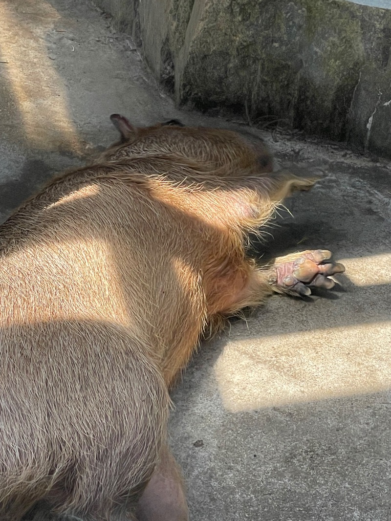 MiNaToさんの石狩天然温泉 番屋の湯のサ活写真