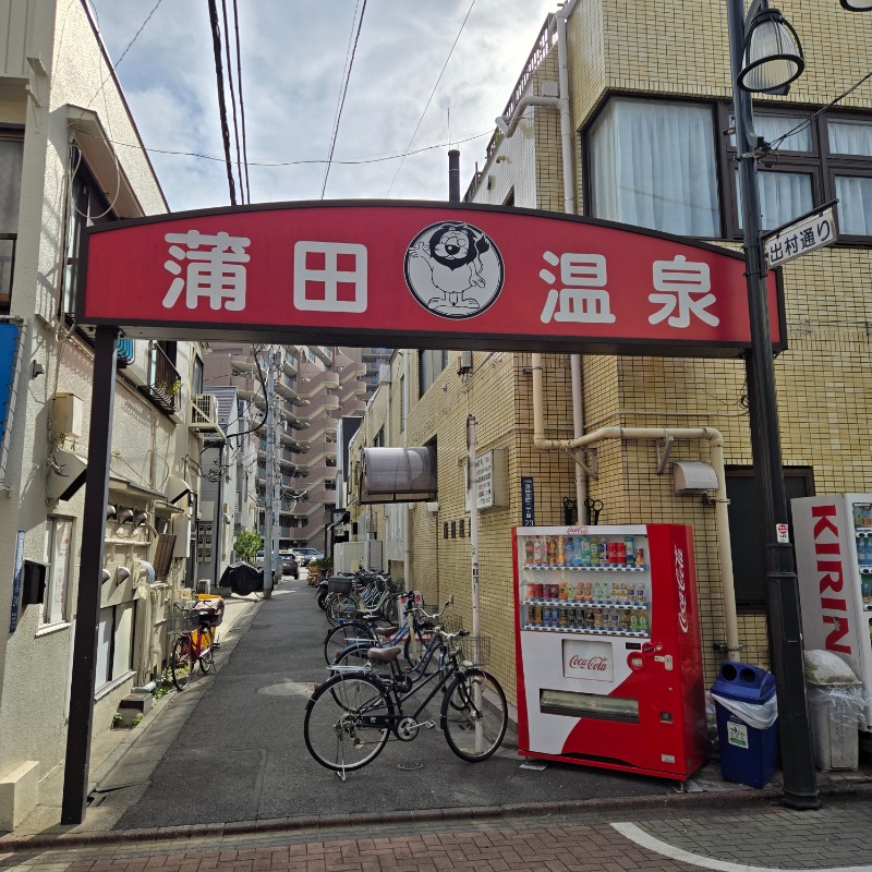 ビッグワンさんの蒲田温泉のサ活写真