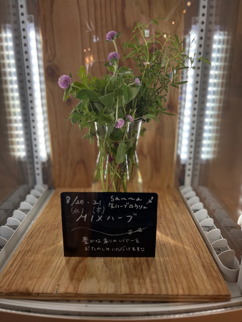 えいみさんの岐阜各務原 恵みの湯のサ活写真