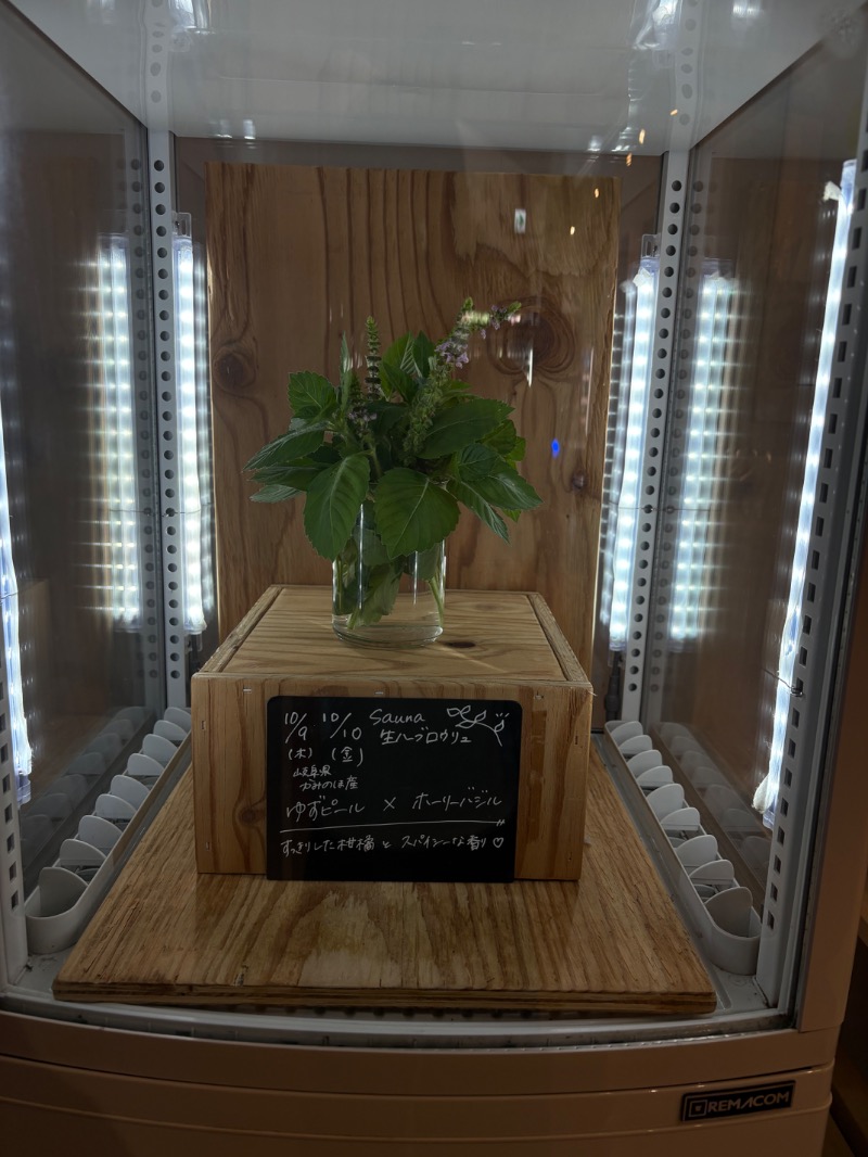 えいみさんの岐阜各務原 恵みの湯のサ活写真