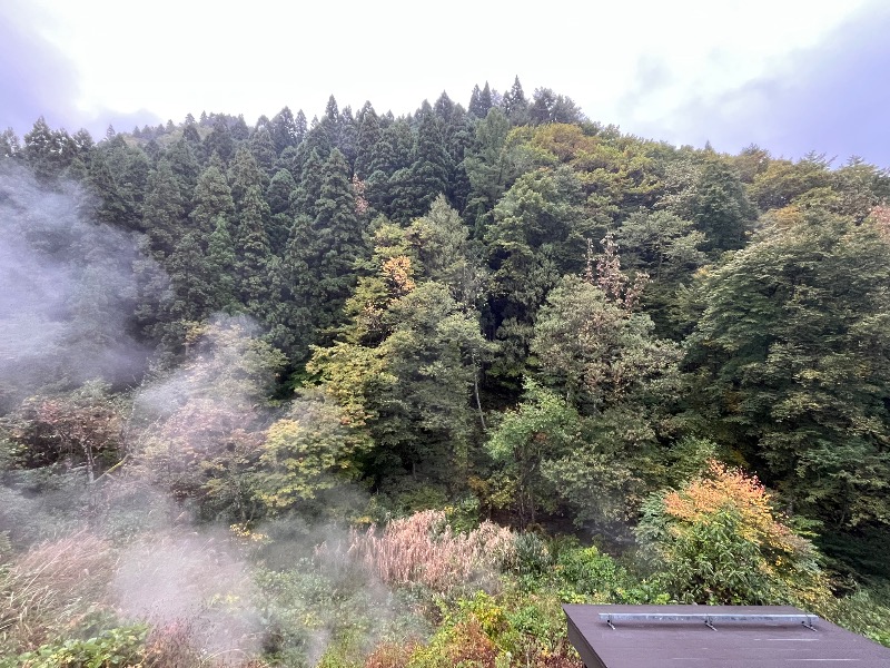 ヒロヒロさんの秋の宮温泉郷 湯けむりの宿 稲住温泉のサ活写真