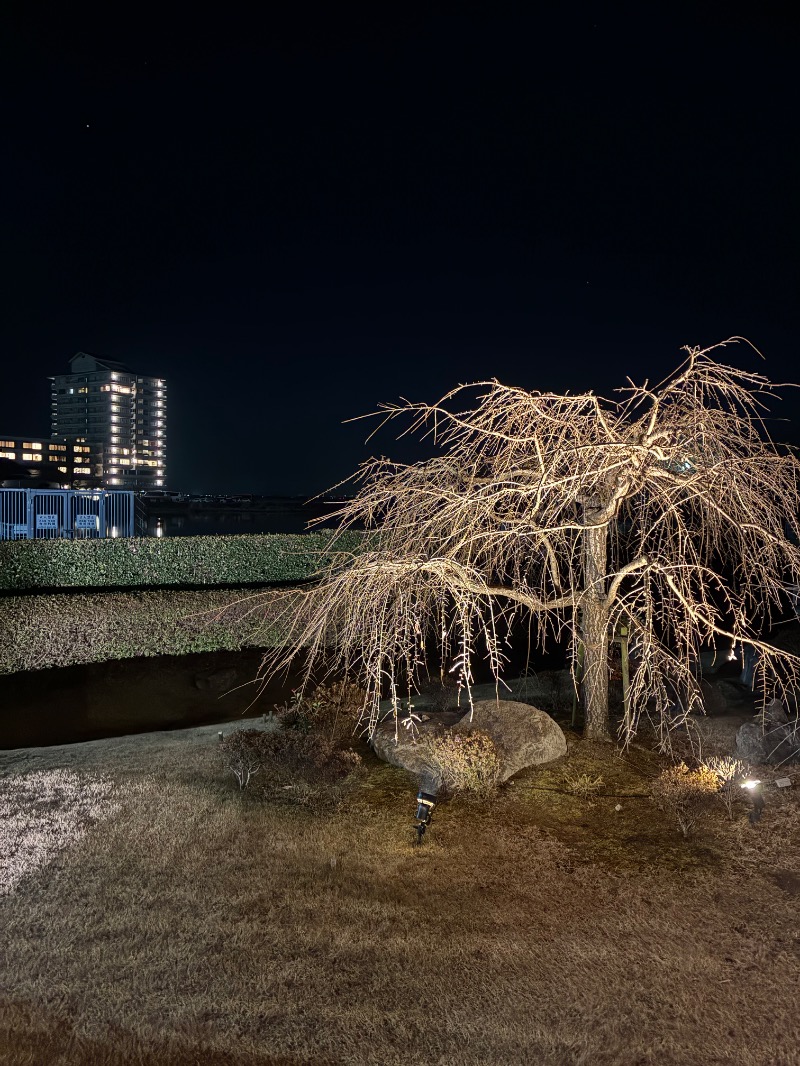 さとしさんのびわこ緑水亭のサ活写真
