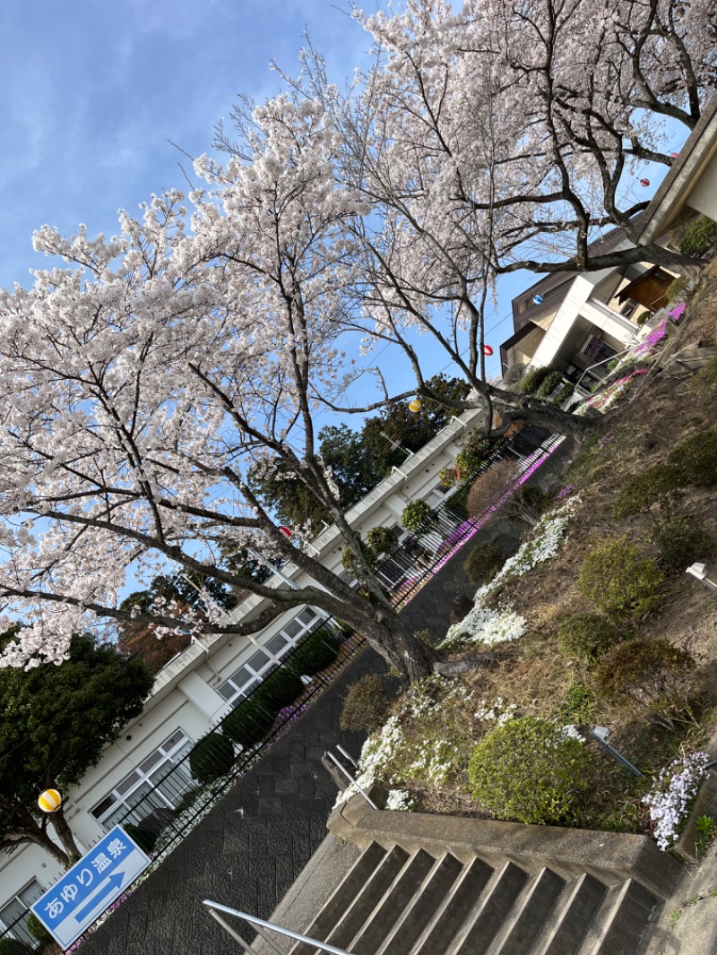 源の介さんのあゆり温泉のサ活写真