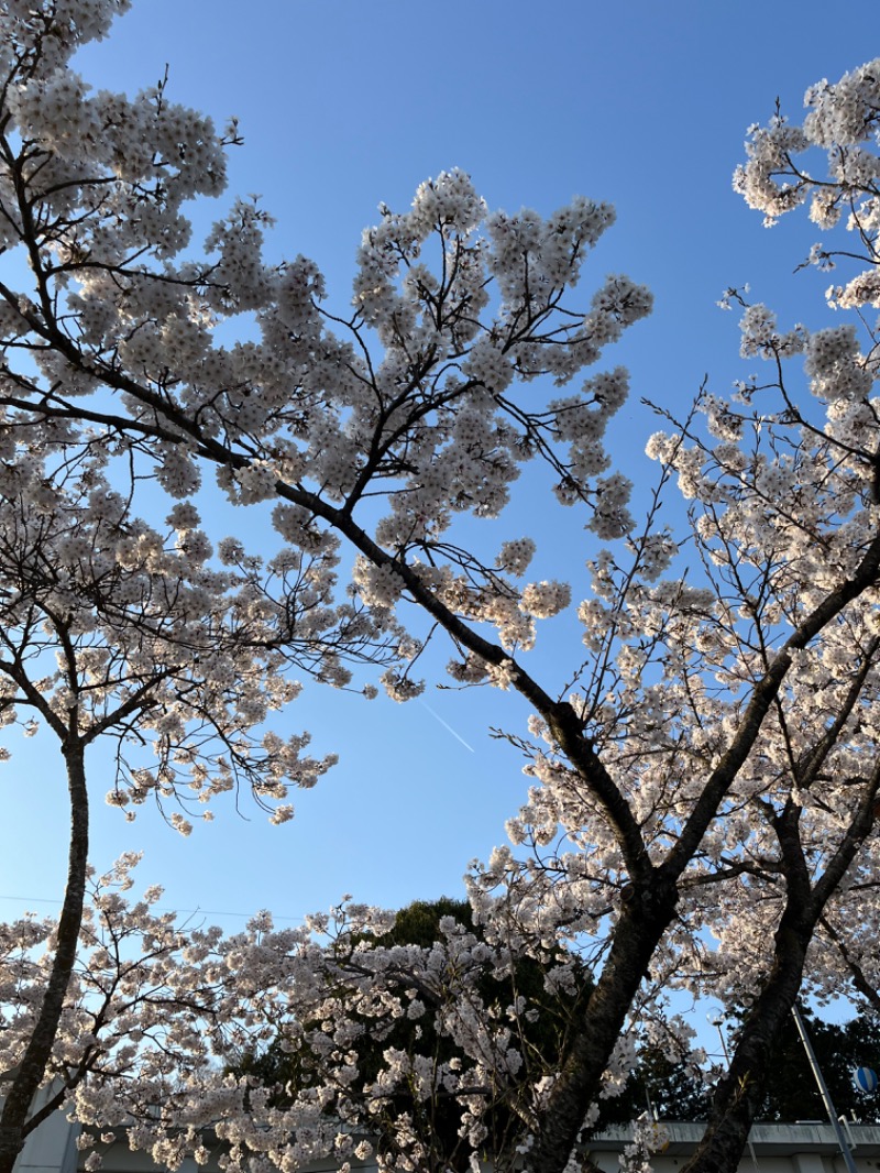 源の介さんのあゆり温泉のサ活写真