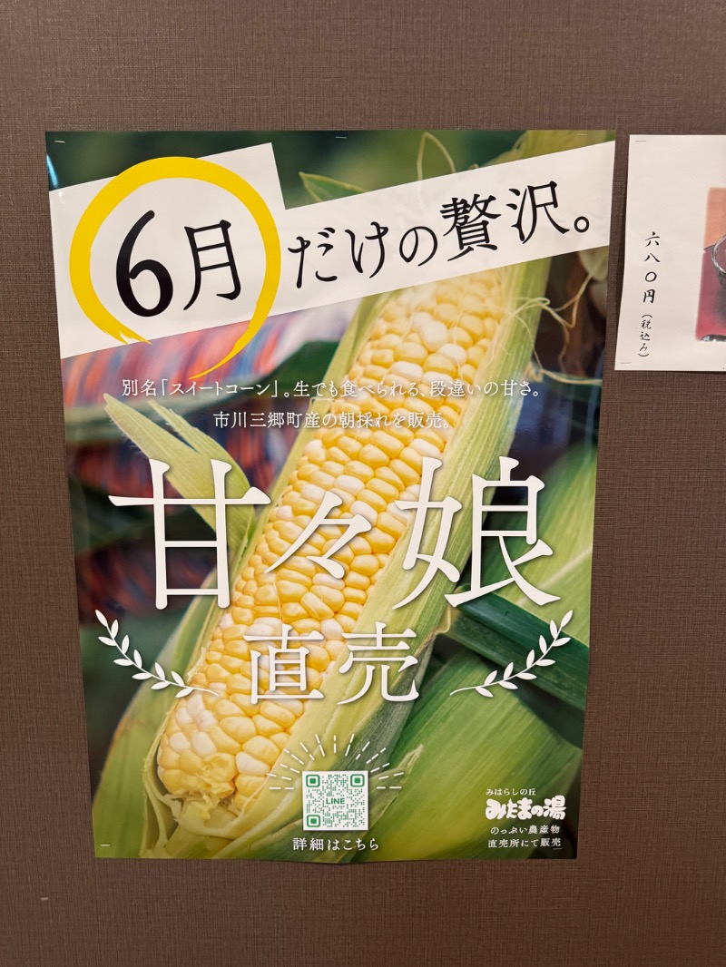3723さんのみはらしの丘 みたまの湯のサ活写真