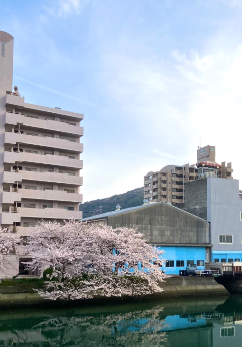 イエローサブマリンさんの徳島天然温泉 あらたえの湯のサ活写真