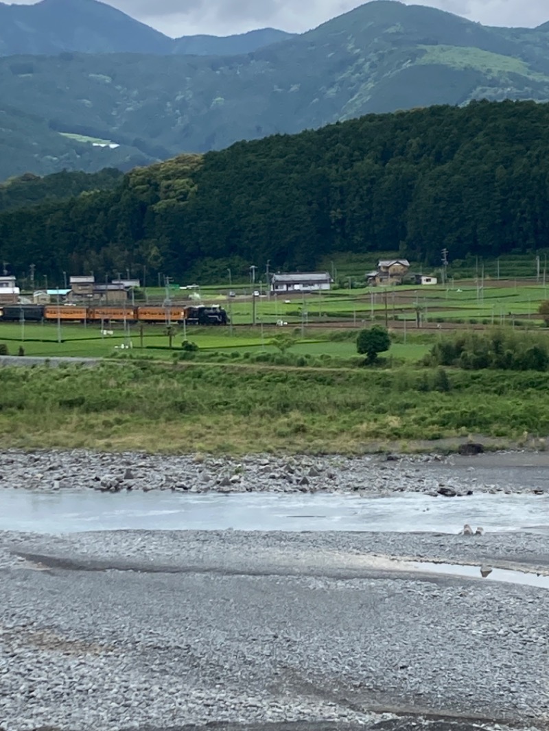 バーダックさんの大井川鐵道 川根温泉ホテルのサ活写真
