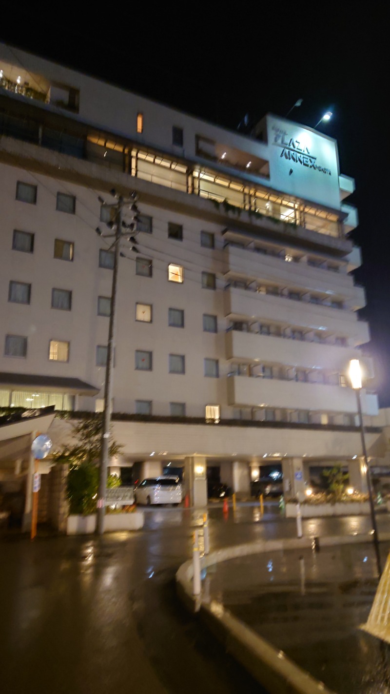 ようようズさんのホテルプラザアネックス横手のサ活写真