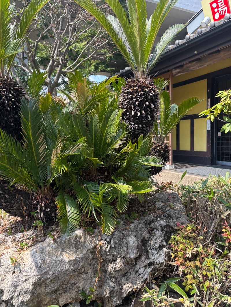 dWa.さんのみうら湯 弘明寺店のサ活写真