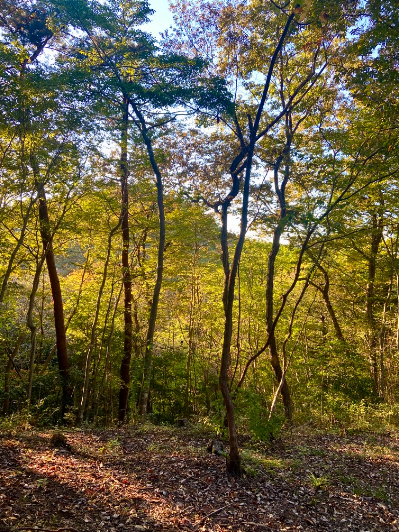 ＯＳさんのごぜんやま温泉保養センター四季彩館のサ活写真