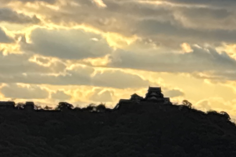 みーさんの大江戸温泉物語 道後(湯快リゾート 道後温泉 道後彩朝楽のサ活写真