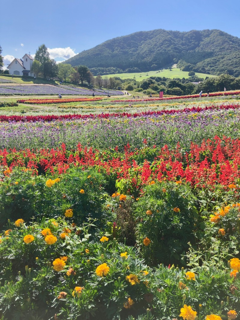 蒸しパンダさんの保養センターやくらい薬師の湯のサ活写真