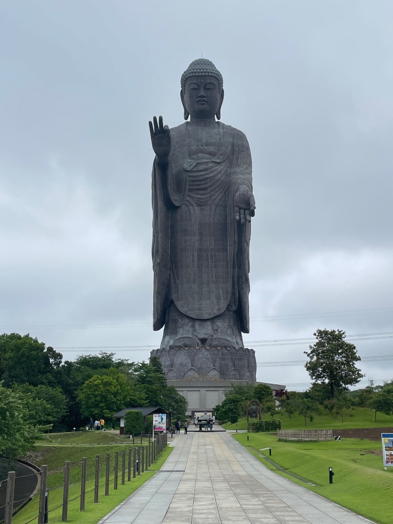 蒸しKINGさんの毎日サウナ 越谷店のサ活写真