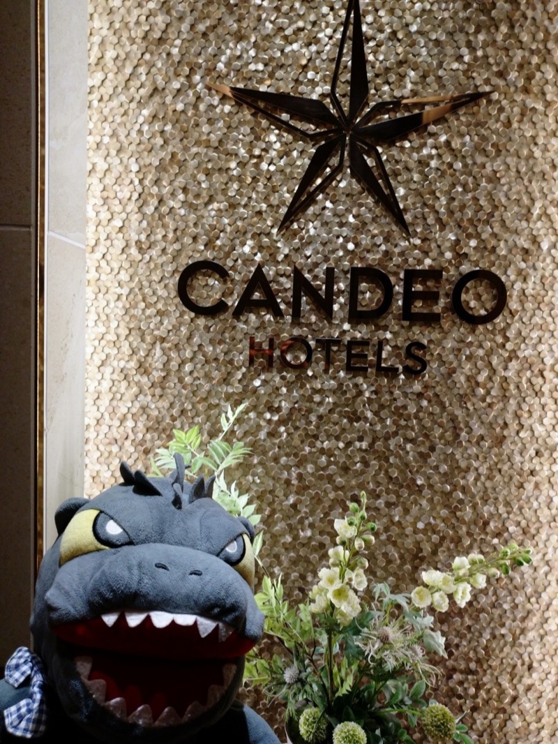 富士山さんのカンデオホテルズ大宮のサ活写真