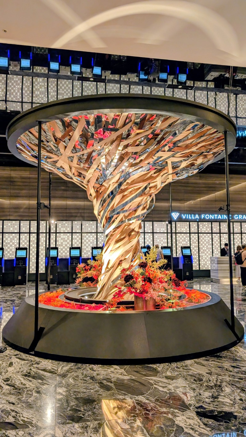 やまぴこ🗻さんの天然温泉 泉天空の湯 羽田空港のサ活写真
