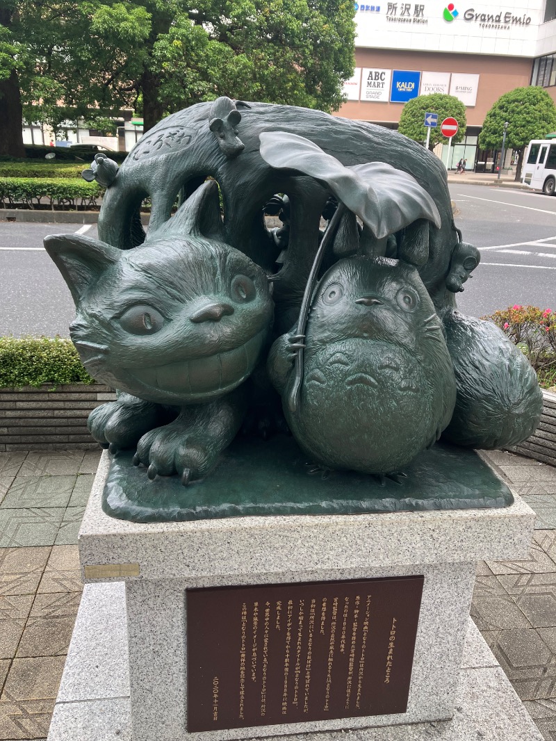 ささ湯さんのバーデンガーデン(旧:ザ ベッドアンドスパ 所沢)のサ活写真