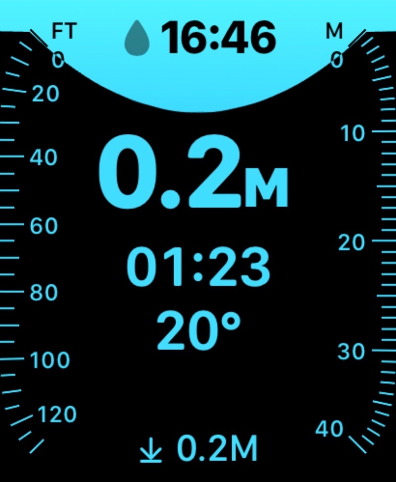 ericthekingさんのコナミスポーツクラブ武蔵小杉のサ活写真