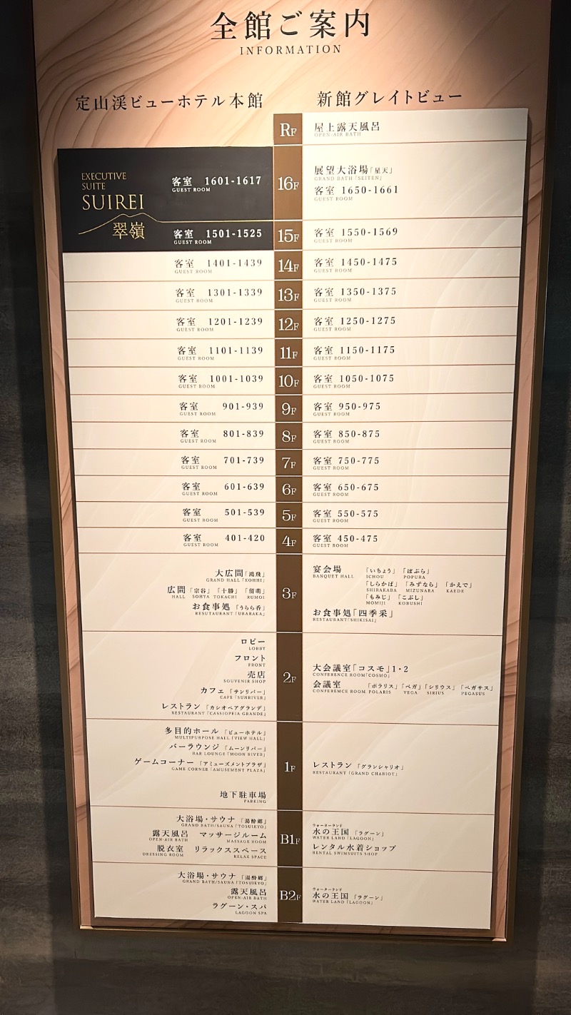 ひーゆーさんの定山渓ビューホテルのサ活写真