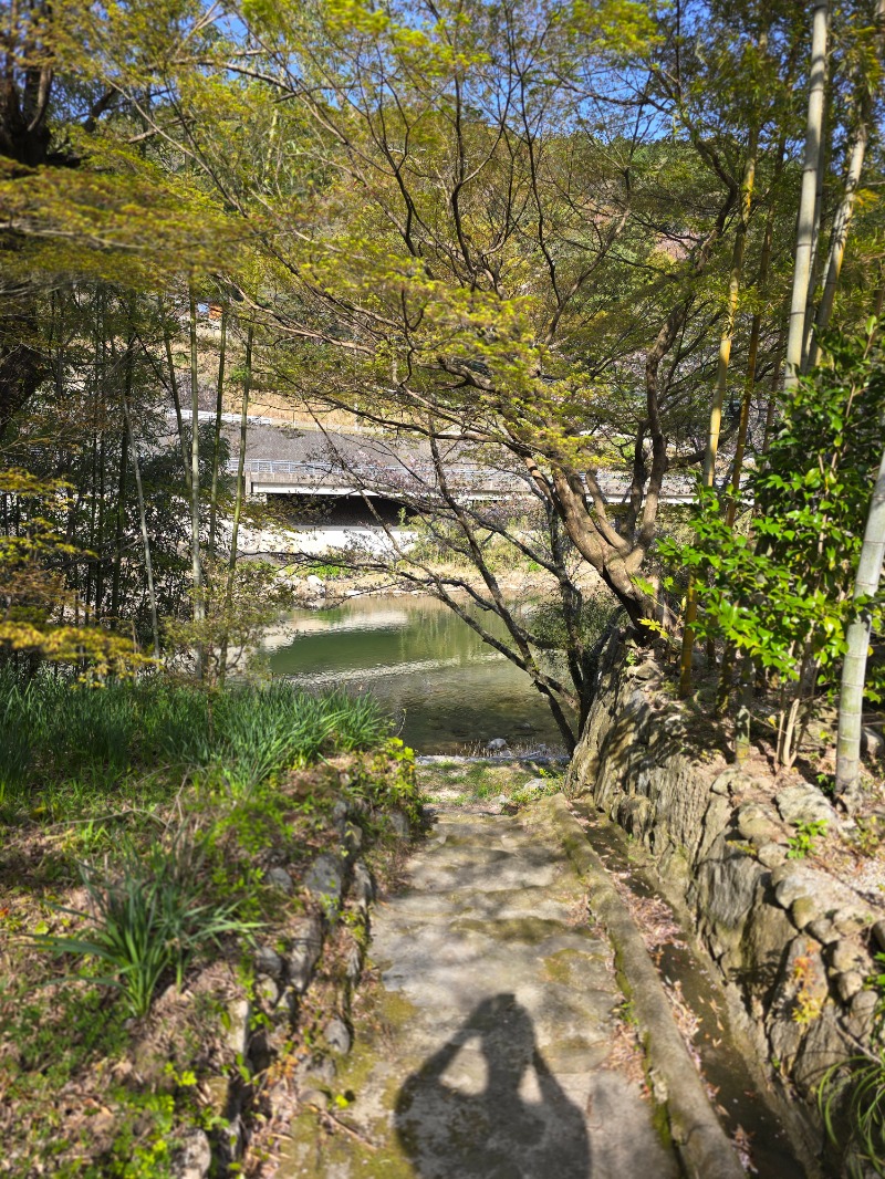 金子 晃さんの洋々庵のサ活写真