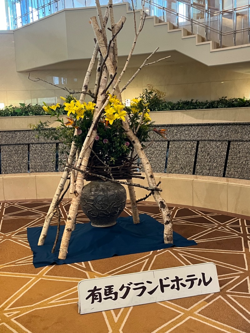 ゆっきさんの有馬グランドホテル ゆらりのサ活写真
